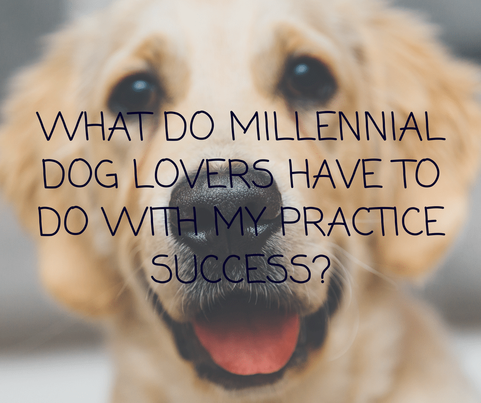 dog lovers and my success
