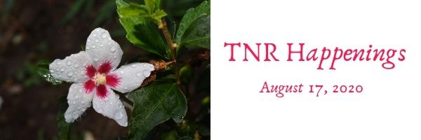 TNR Happenings