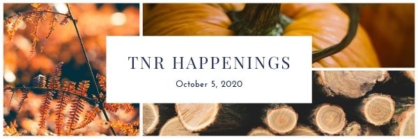 Tnr Happenings 10.5