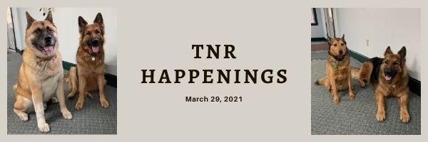 TNR Happenings 3.29.21