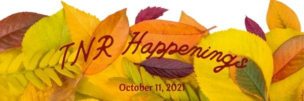 TNR Happenings 10.11